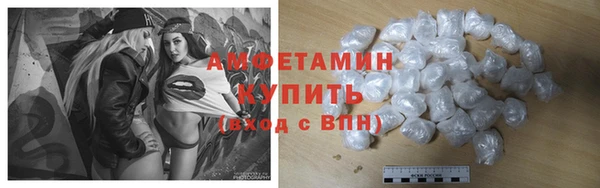 мдпв Пестово