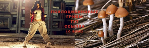 трава Переславль-Залесский