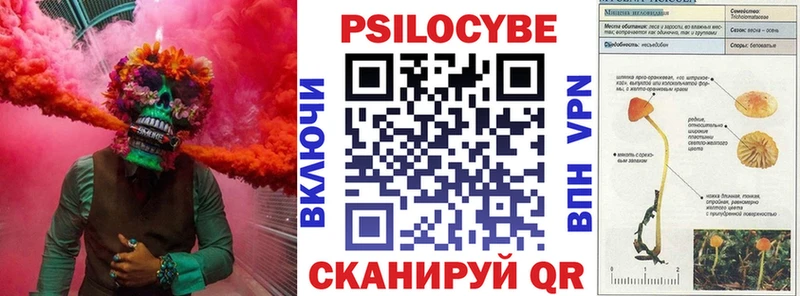 Псилоцибиновые грибы прущие грибы  Анжеро-Судженск 