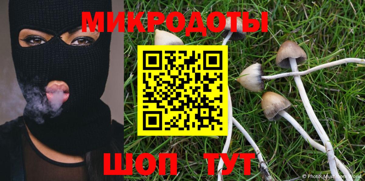 Псилоцибиновые грибы Magic Shrooms  Галлюциногенные грибы мицелий  Анжеро-Судженск  Вход с VPN 