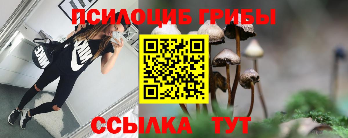 Галлюциногенные грибы ЛСД Анжеро-Судженск